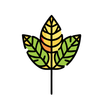 1 (1027).png